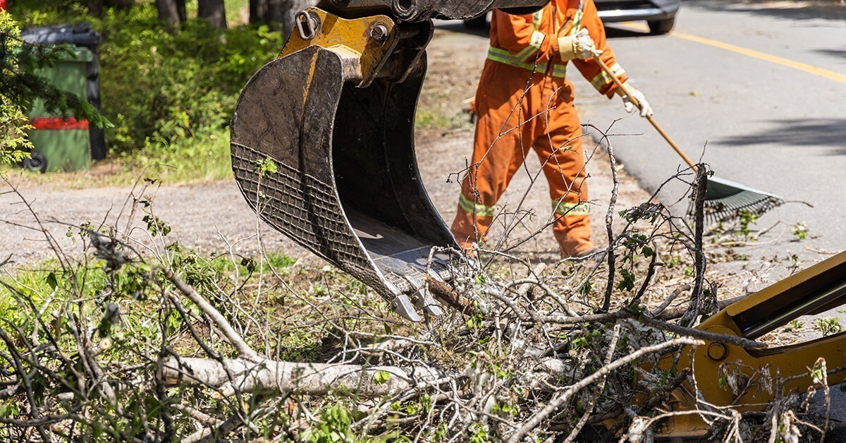 Storm Cleanup